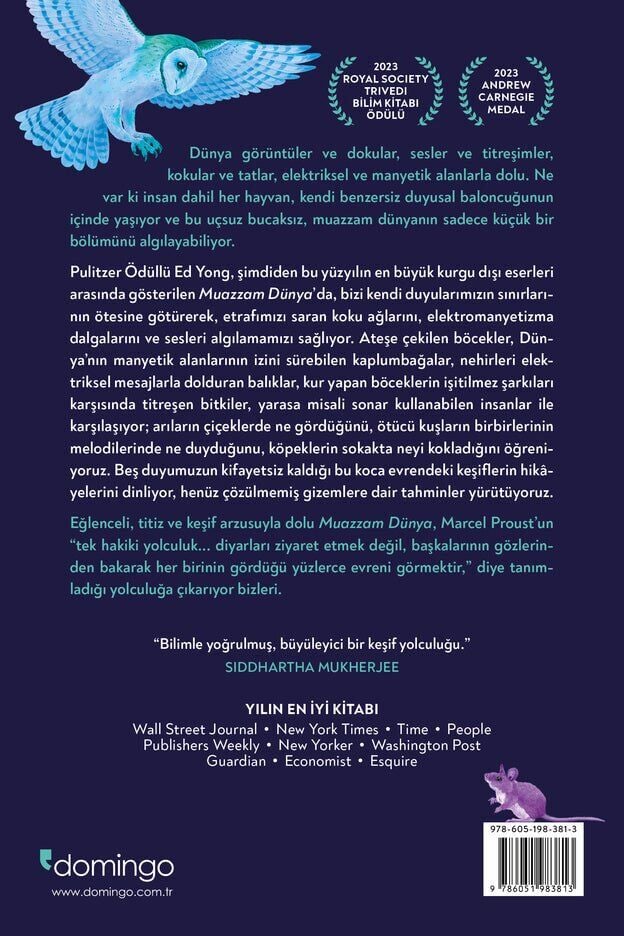 Muazzam Dünya: Beş Duyunun Ötesine Yolculuk