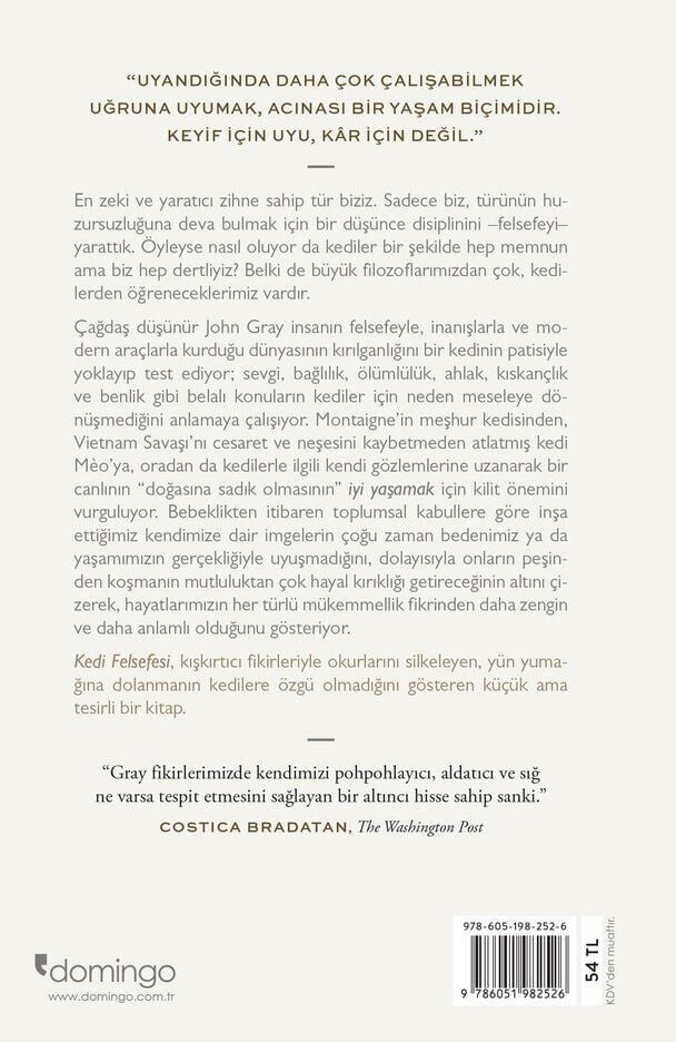 Kedi Felsefesi: Kediler ve Hayatın Anlamı