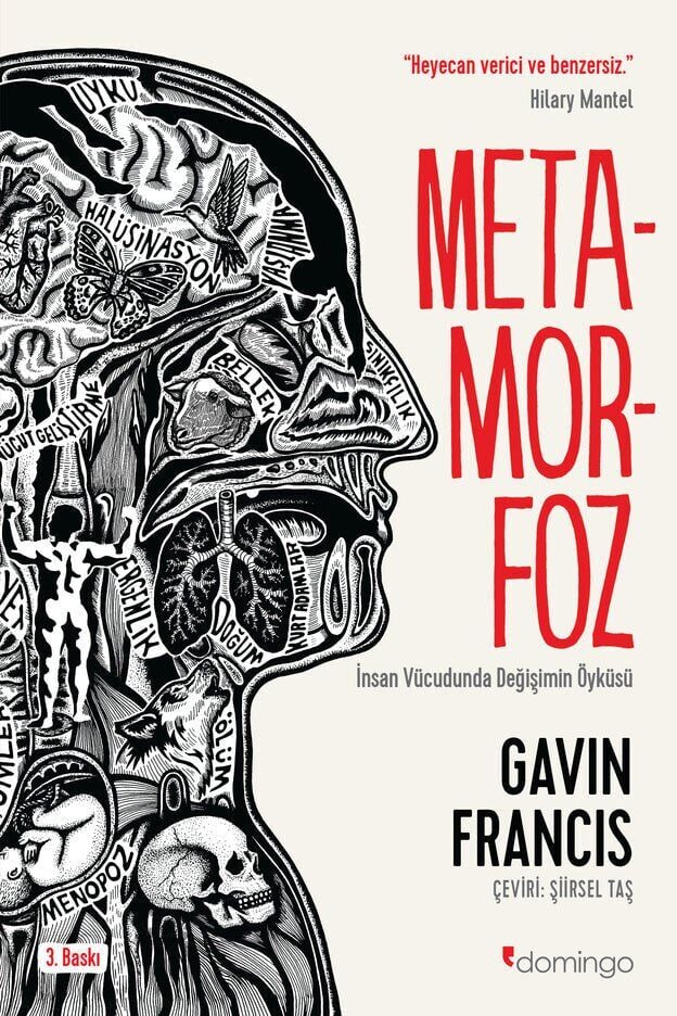 Metamorfoz: İnsan Vücudunda Değişimin Öyküsü