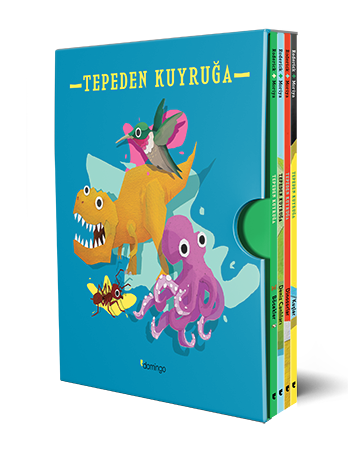 Tepeden Kuyruğa Serisi Kutulu Set (4 Kitap)
