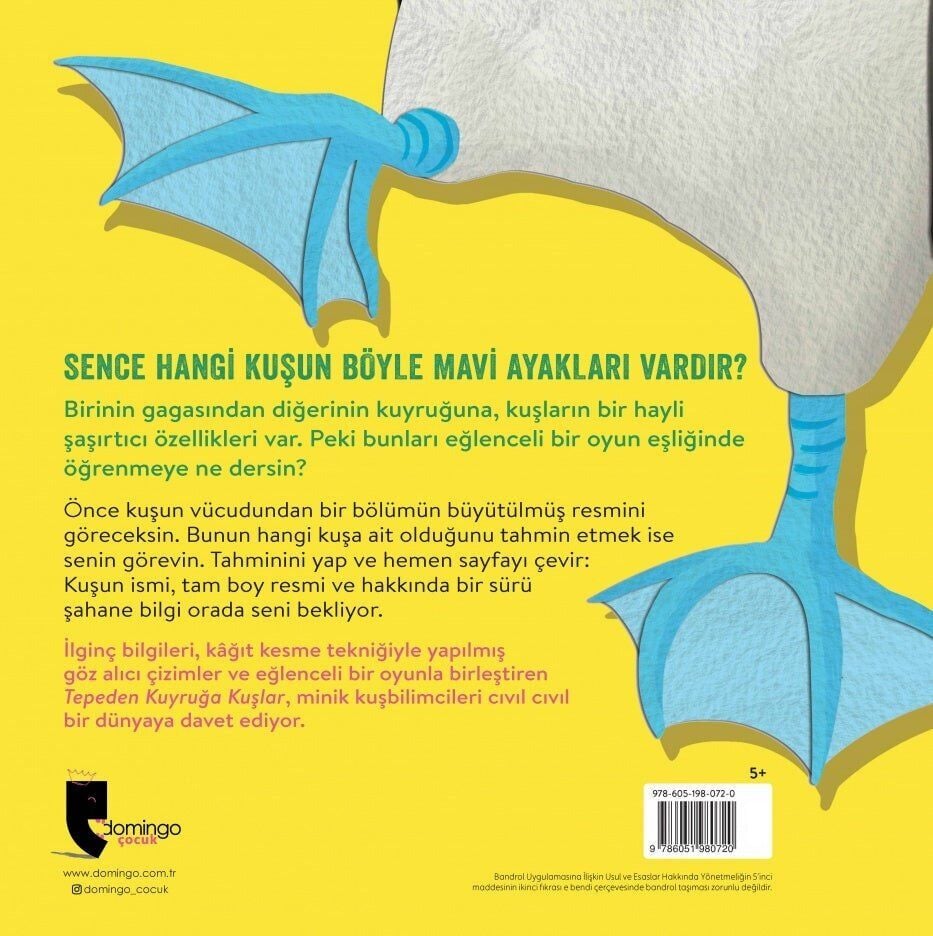 Tepeden Kuyruğa - Kuşlar