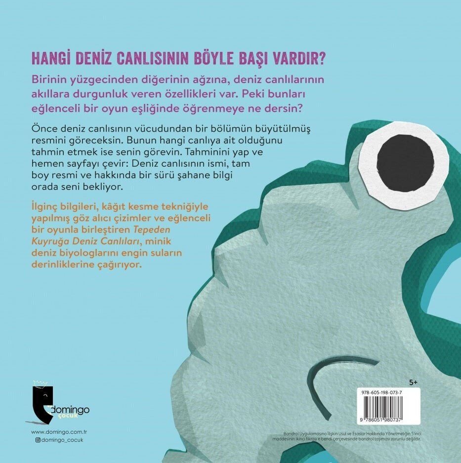 Tepeden Kuyruğa - Deniz Canlıları