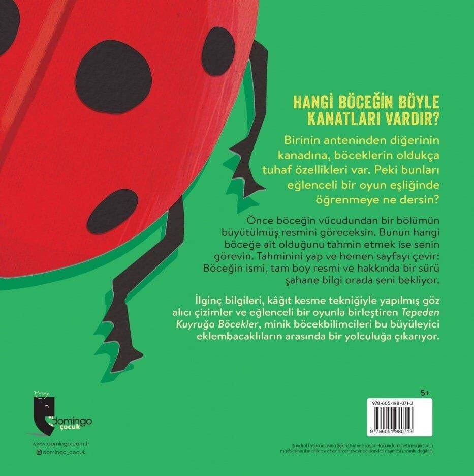 Tepeden Kuyruğa - Böcekler