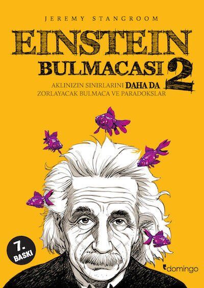 Einstein Bulmacası 2